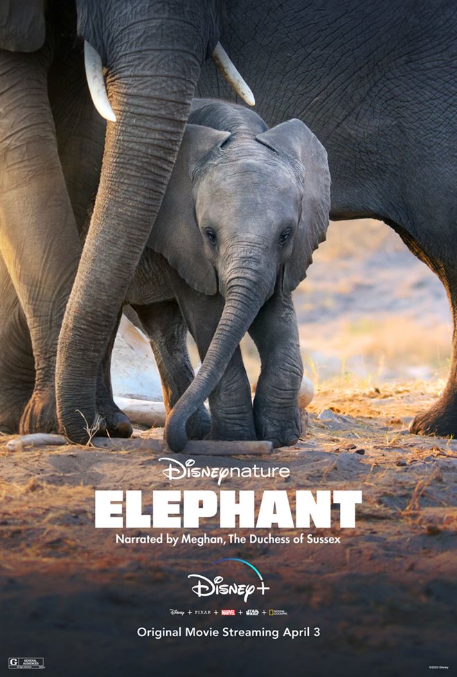 Elephant (Disney+) Large Poster