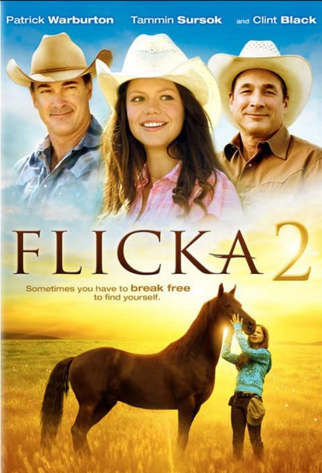 Flicka 2 Large Poster
