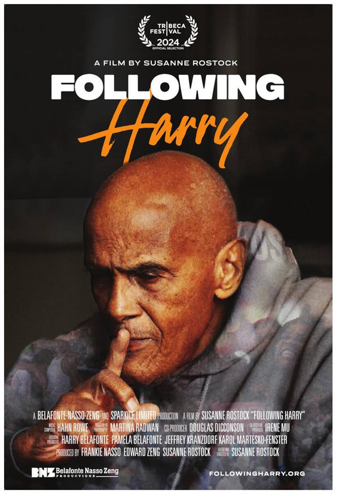 Following Harry Large Poster