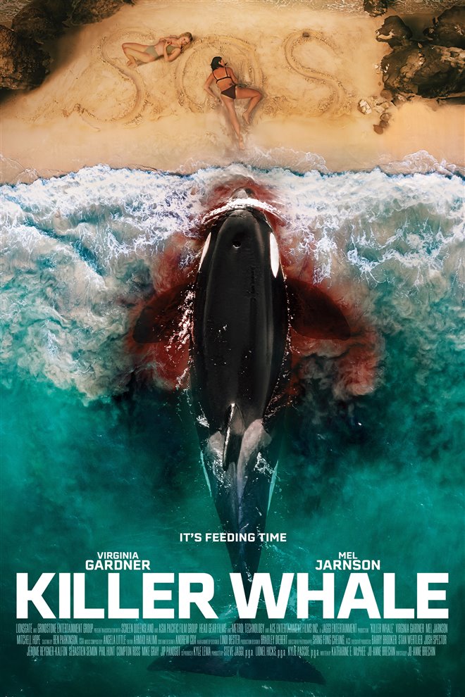 Killer Whale Large Poster