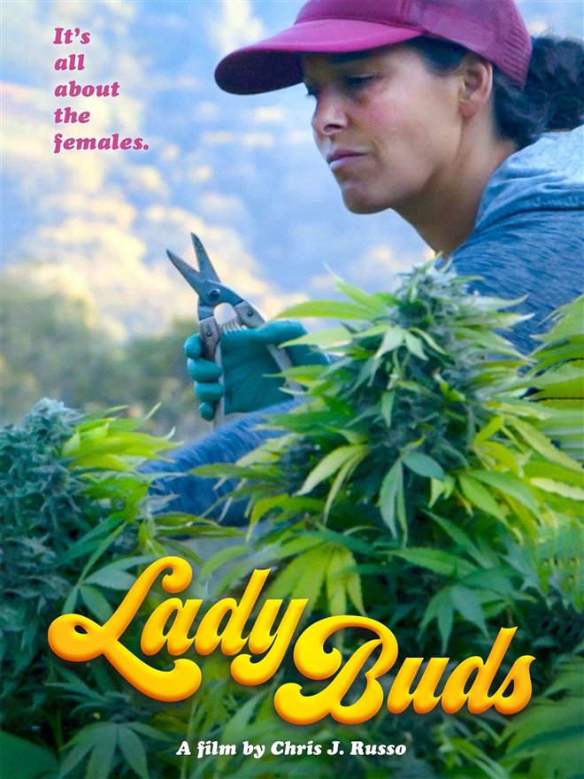 Lady Buds Large Poster