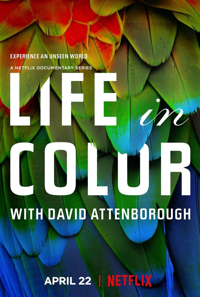 Life in Color with David Attenborough (Netflix) Large Poster