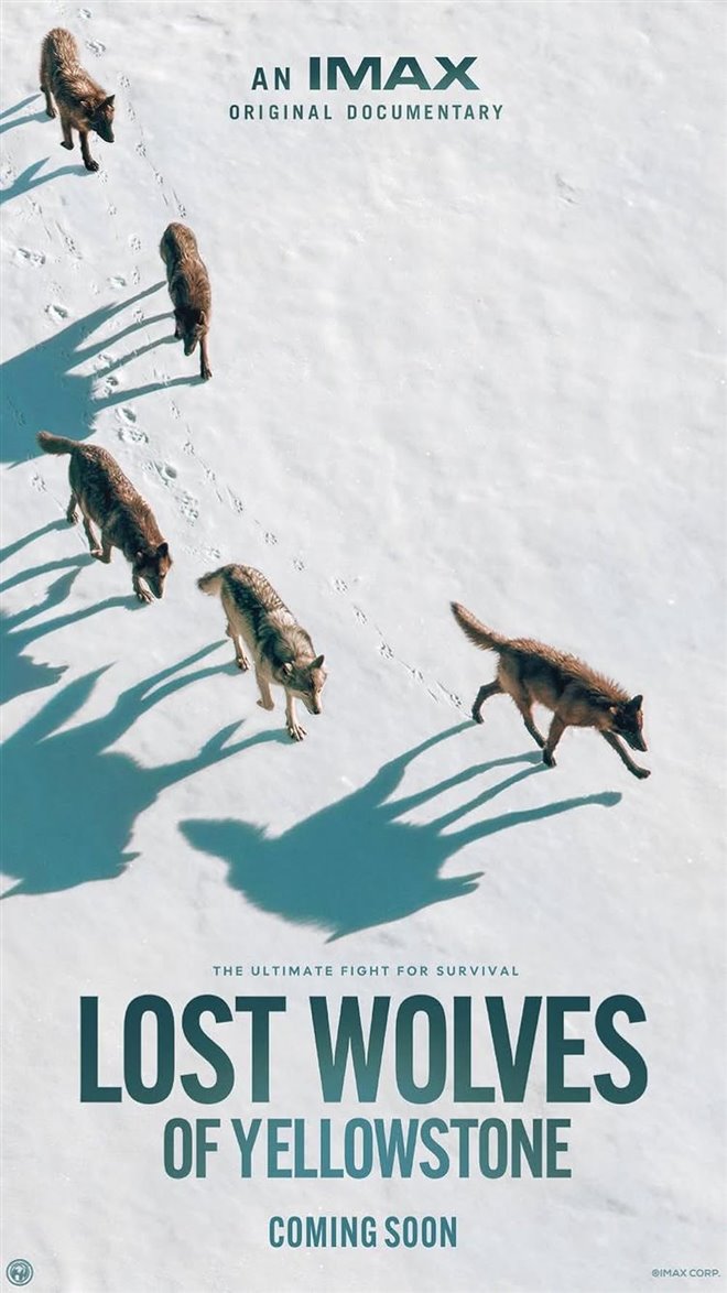 Lost Wolves of Yellowstone Large Poster