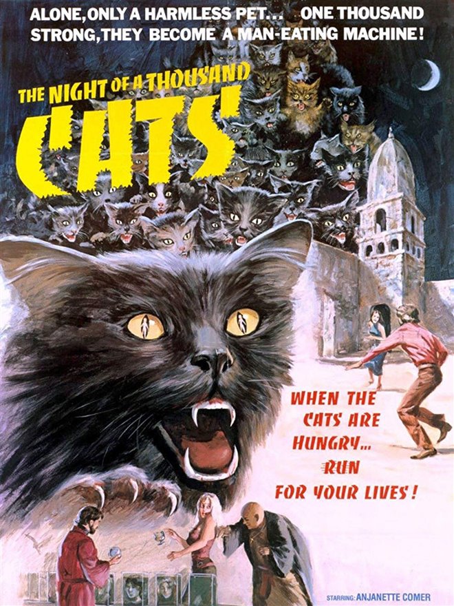 Night of 1000 Cats Large Poster