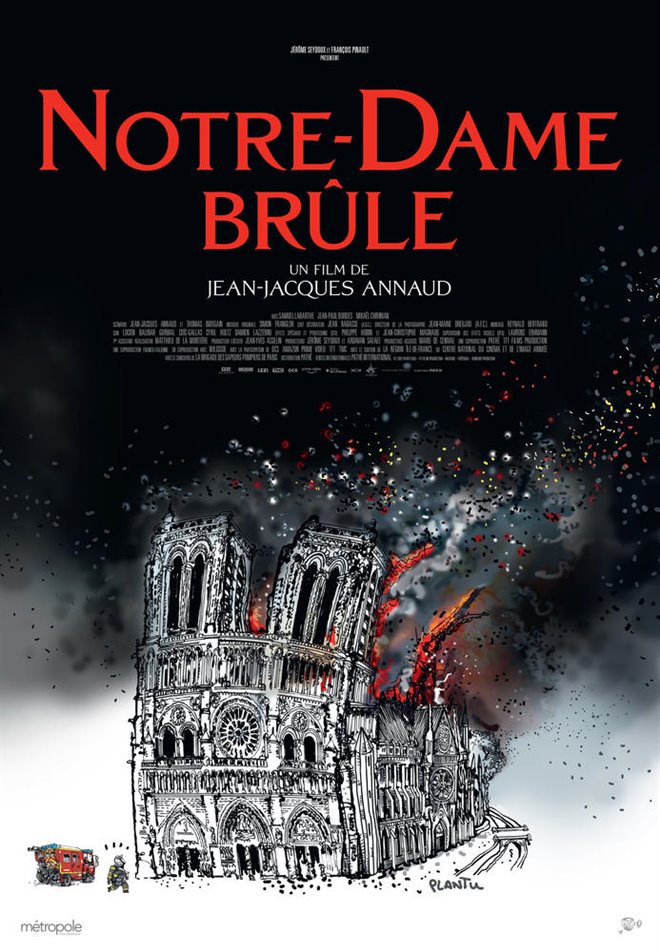 Notre-Dame on Fire Large Poster