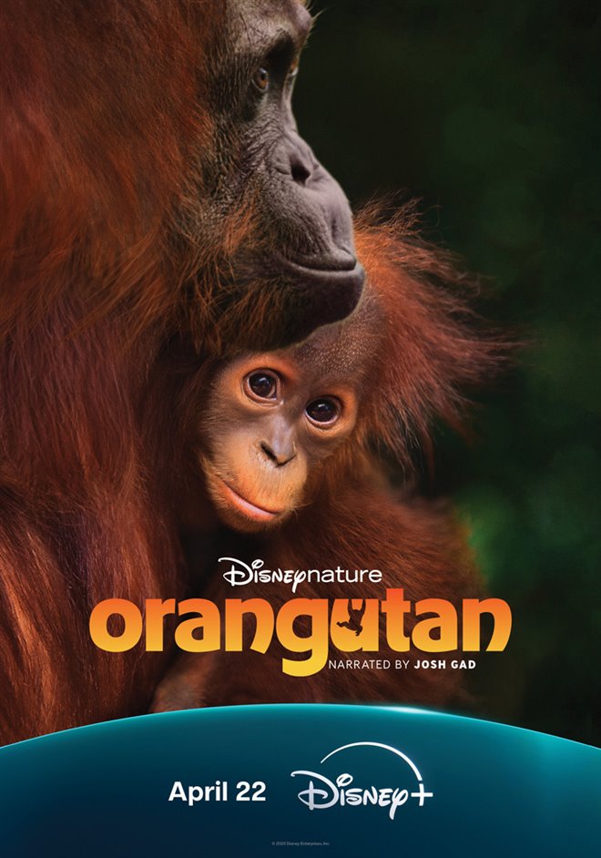 Orangutan (Disney+) Large Poster