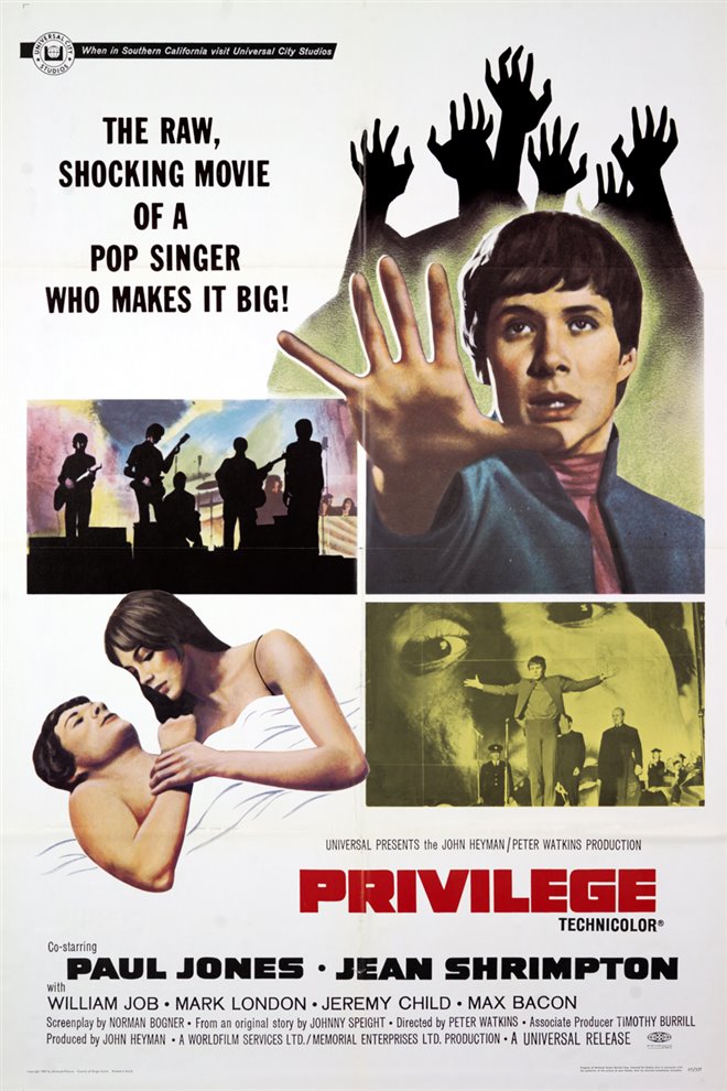 Privilege Large Poster