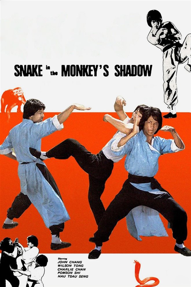 Snake in the Monkey's Shadow Large Poster