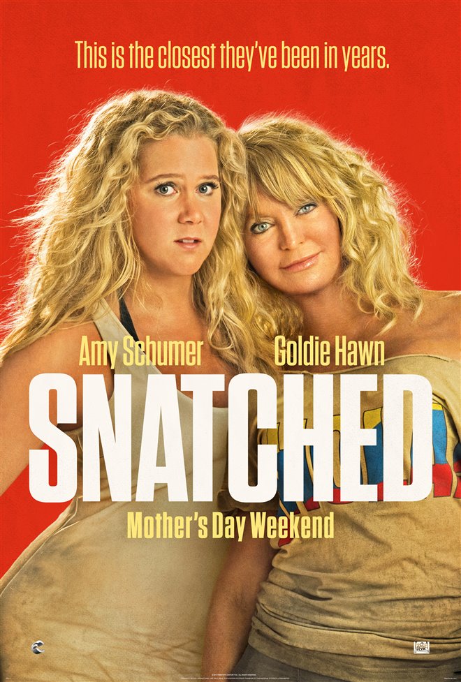 Snatched Large Poster