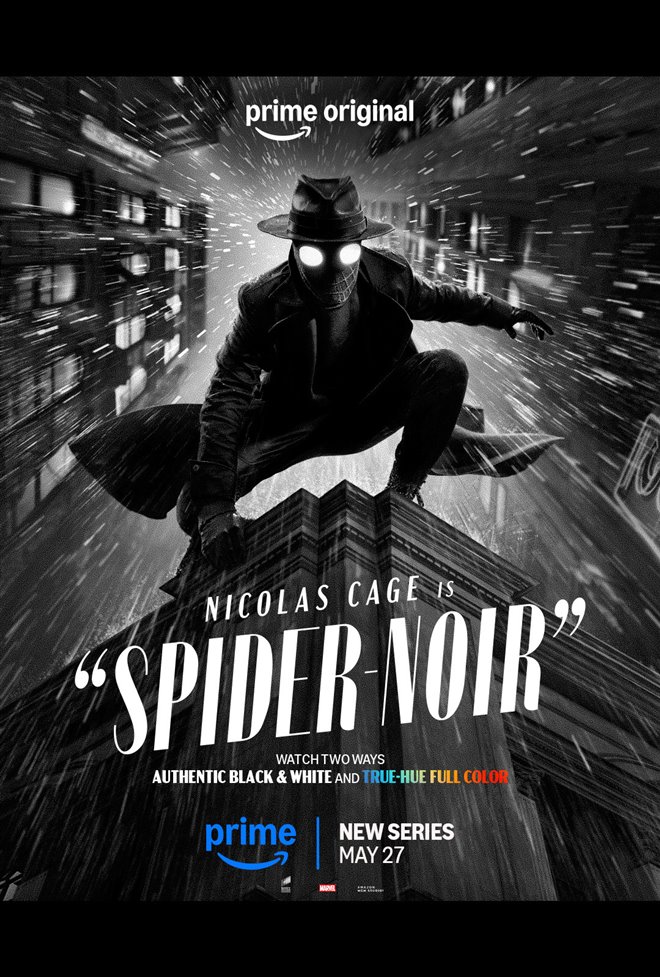 Spider-Noir (Prime Video) Large Poster