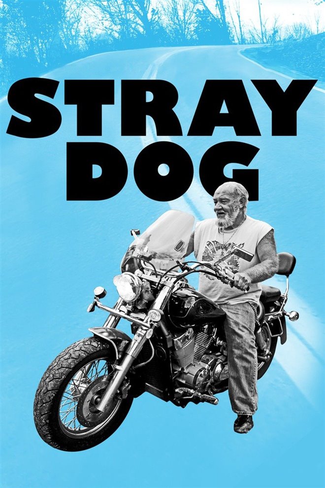 Stray Dog Large Poster