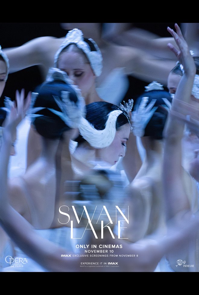 Swan Lake Large Poster