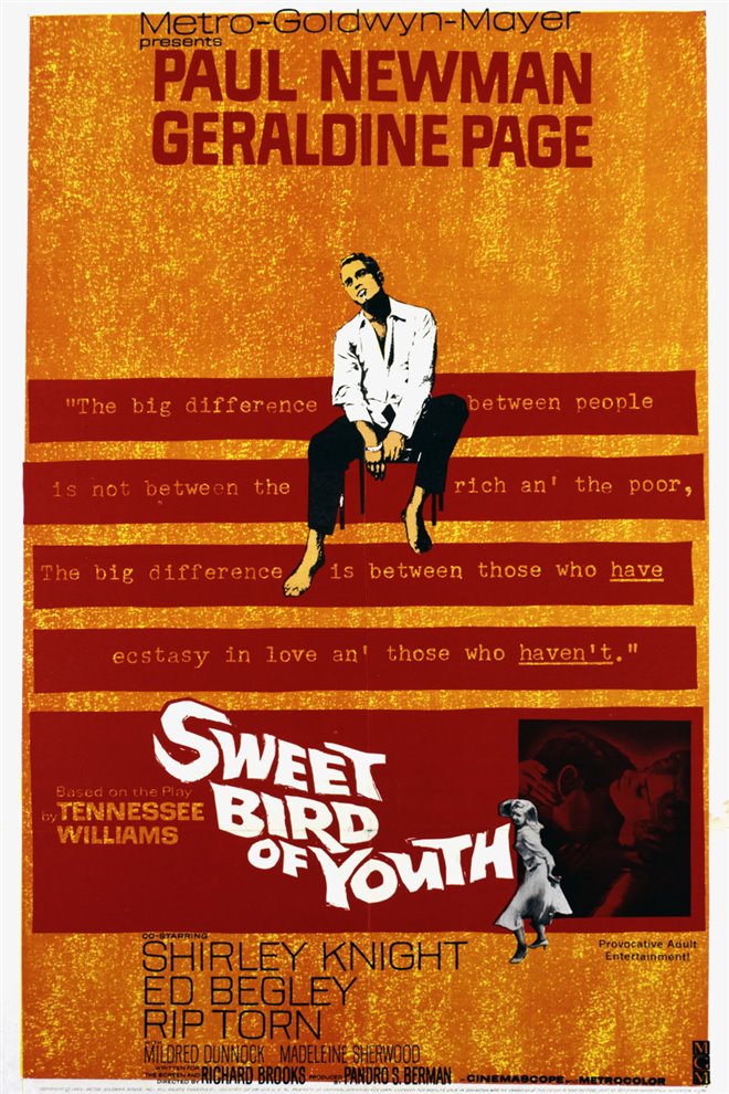 Sweet Bird of Youth Large Poster