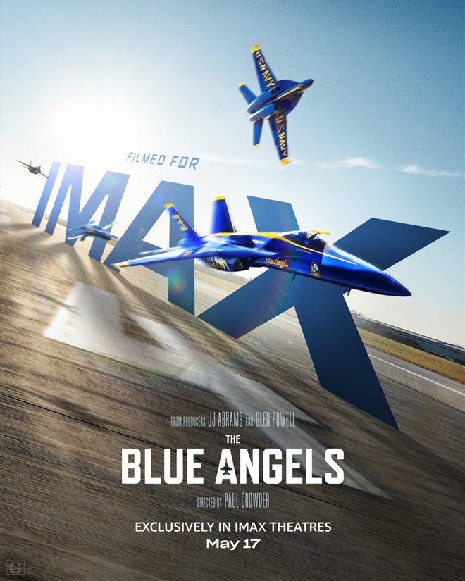 The Blue Angels: Special Edition 3D Large Poster