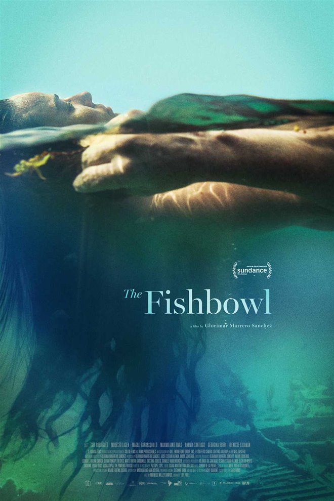 The Fishbowl Large Poster