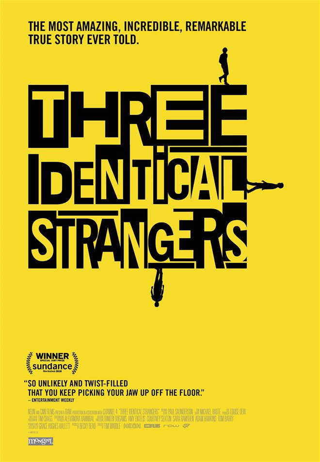 Three Identical Strangers Large Poster
