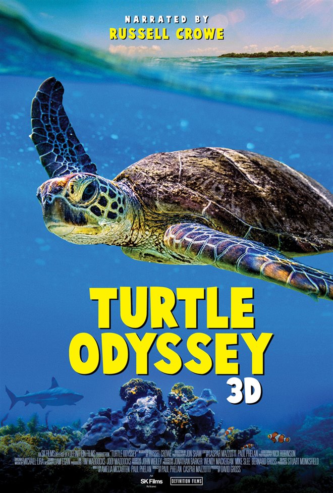 Turtle Odyssey Large Poster