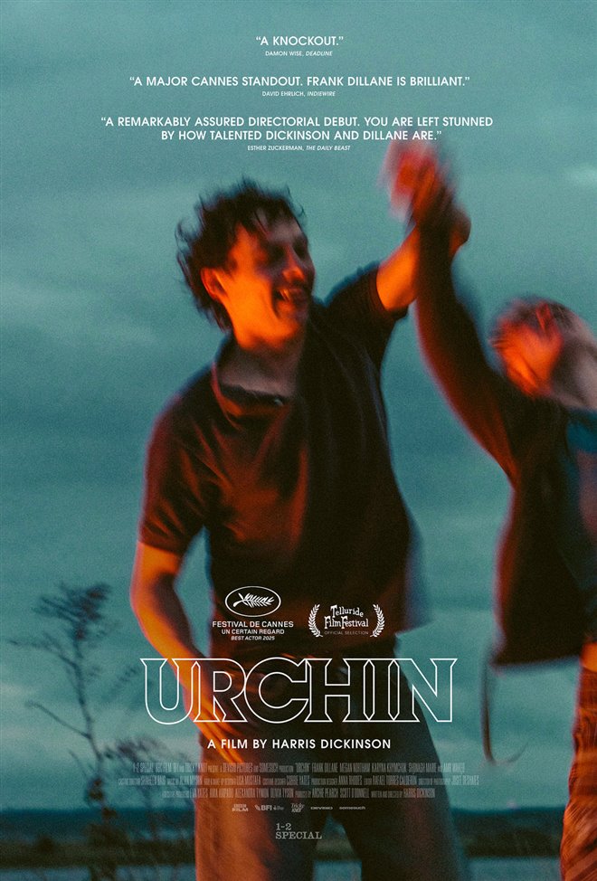 Urchin Large Poster
