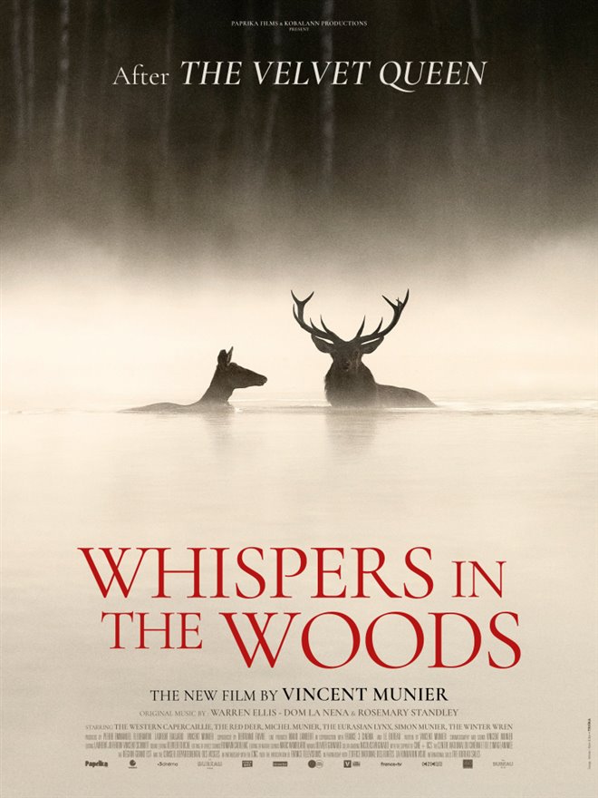 Whispers in the Woods Large Poster