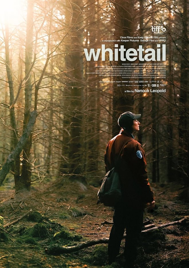 Whitetail Large Poster