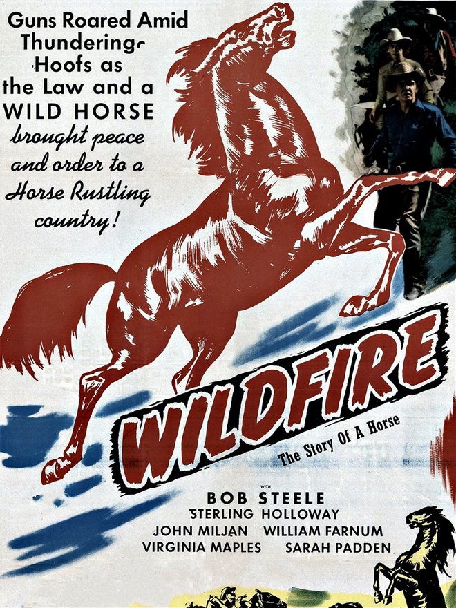 Wildfire Large Poster