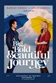 A Big Bold Beautiful Journey Movie Poster
