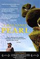 A Man Named Pearl Poster