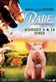Babe (1995) 25th Anniversary presented by TCM Poster
