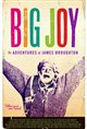 Big Joy: The Adventures of James Broughton Poster