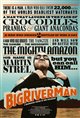 Big River Man Movie Poster