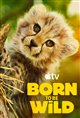 Born to Be Wild (Apple TV) Movie Poster