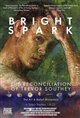 Bright Spark: The Reconciliation of Trevor Southey Poster