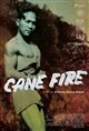 Cane Fire poster