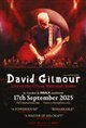 David Gilmour Live at the Circus Maximus, Rome Poster