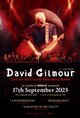 David Gilmour Live at the Circus Maximus, Rome: The IMAX Experience poster