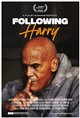 Following Harry Poster