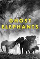 Ghost Elephants Poster