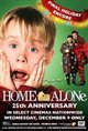 Home Alone: 25th Anniversary Poster