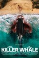 Killer Whale Poster