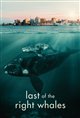 Last of the Right Whales Movie Poster