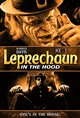Leprechaun in the Hood Movie Poster