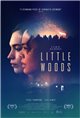 Little Woods Movie Poster