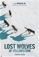 Lost Wolves of Yellowstone poster