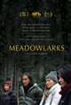 Meadowlarks Movie Poster