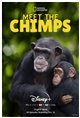 Meet the Chimps (Disney+) Movie Poster