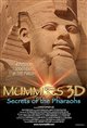 Mummies: Secrets of the Pharaohs poster