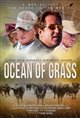 Ocean of Grass Poster
