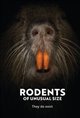 Rodents of Unusual Size Poster