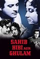 Sahib Bibi Aur Ghulam Poster