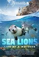Sea Lions: Life by a Whisker 3D poster